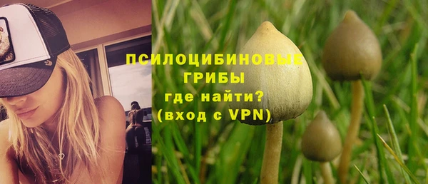 не бодяженный Верхний Тагил