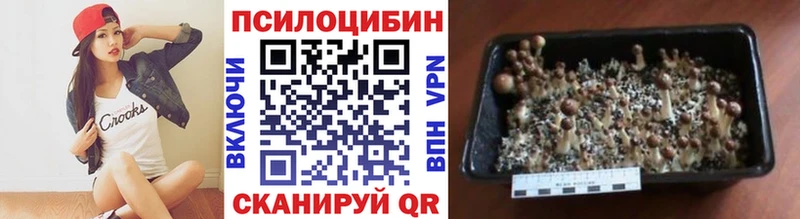 Псилоцибиновые грибы GOLDEN TEACHER  Орехово-Зуево 